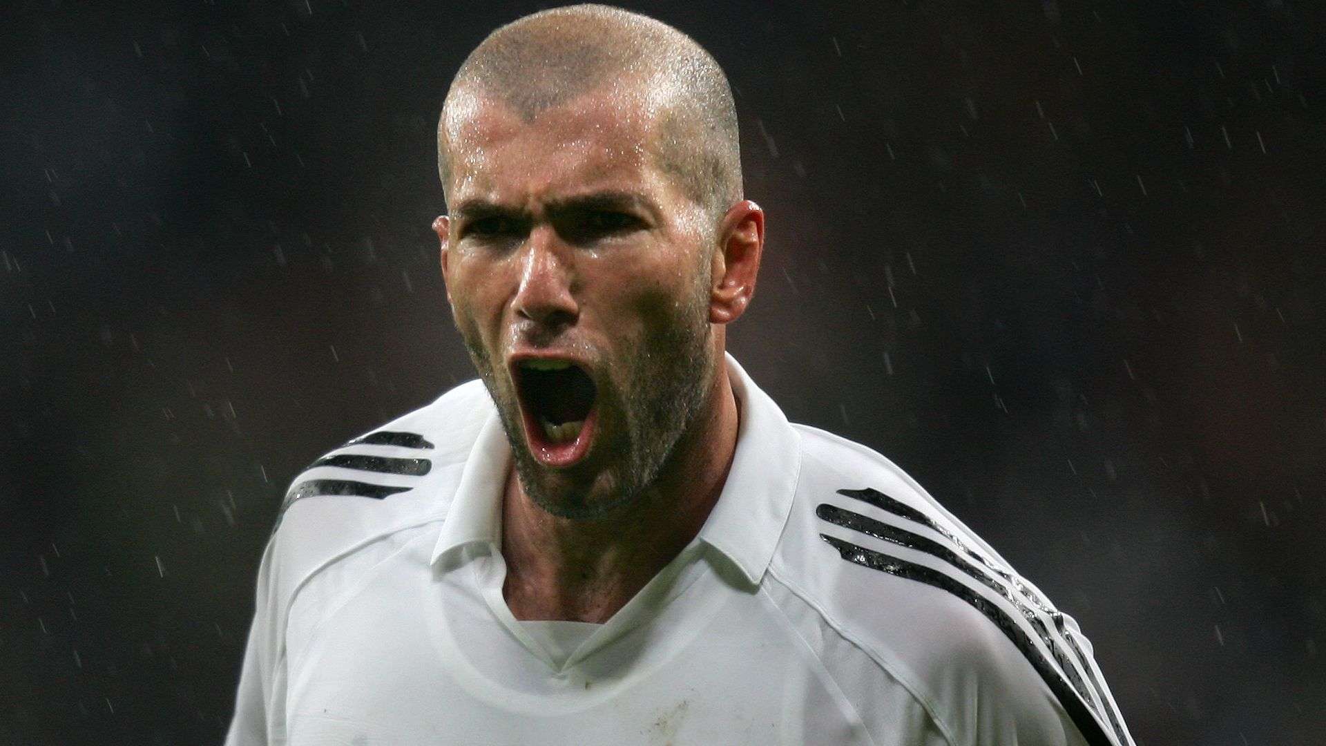 克里斯坦特 克里斯坦特