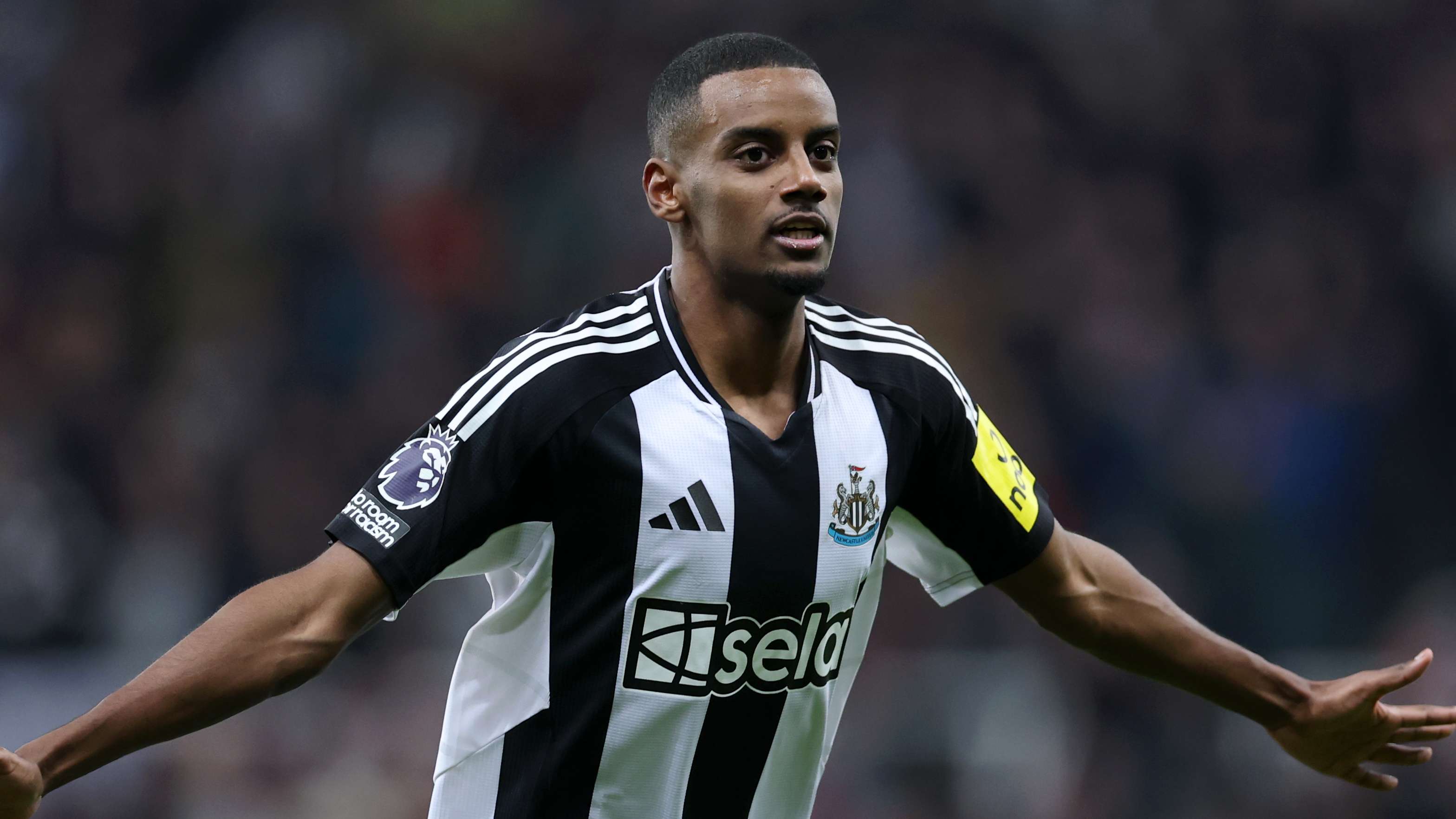 将再次成为 将再次成为